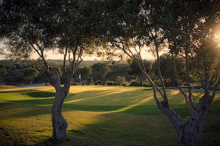  Shady green surrounded by trees and guarded by bunkers