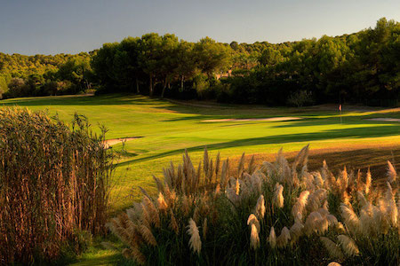  View from the rough on Santa Ponsa Golf