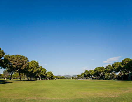 Tree-lined fairway on Terramar Golf